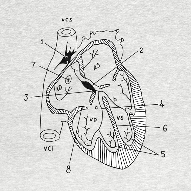 Anatomical Heart by euglenii